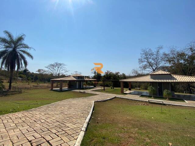 Venda em  - Jequitibá