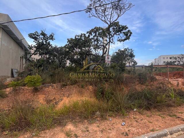 Venda em Mariposas - Lagoa Santa