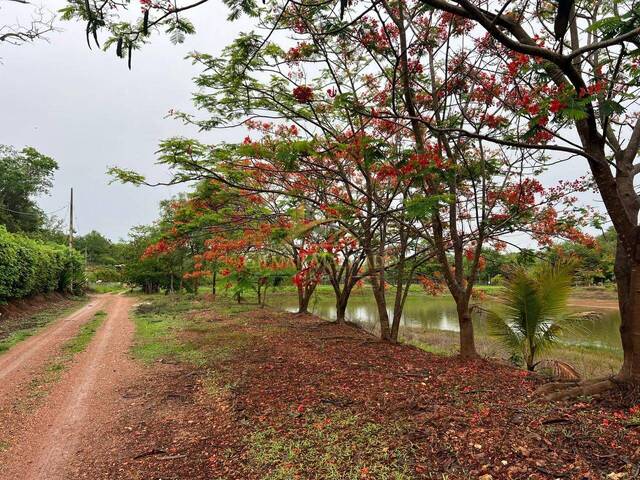 Terreno para Venda em Jequitibá - 2