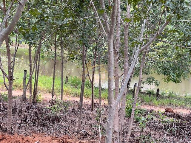 Terreno para Venda em Jequitibá - 3