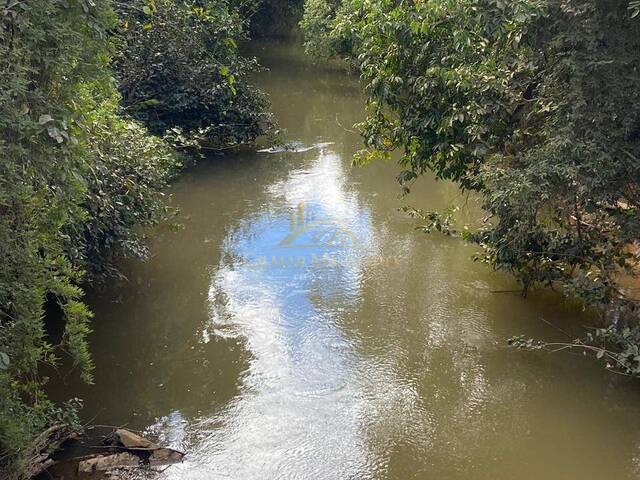 Venda em  - Jequitibá