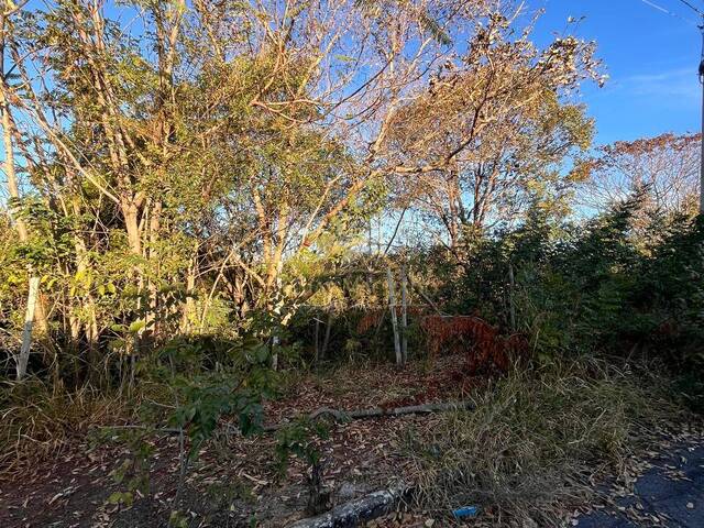 Terreno para Venda em Lagoa Santa - 3