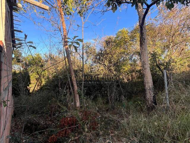 Terreno para Venda em Lagoa Santa - 5