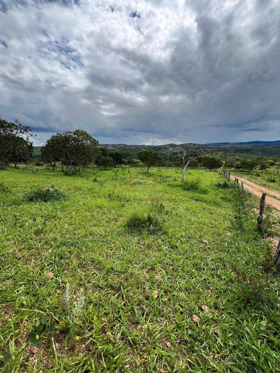 Terreno, 2 hectares - Foto 9