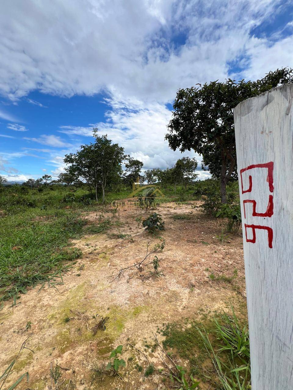 Terreno, 2 hectares - Foto 14