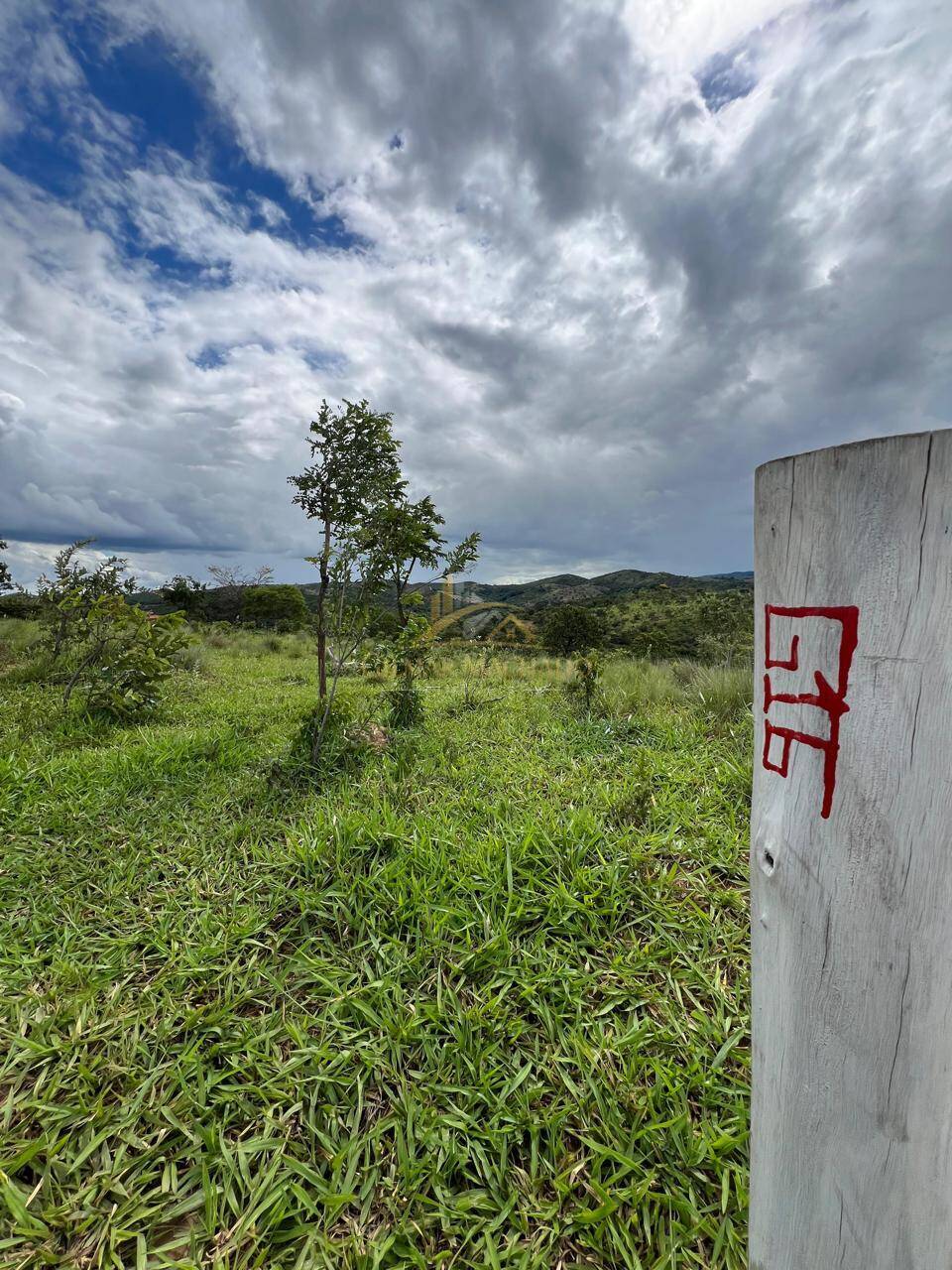 Terreno, 2 hectares - Foto 12