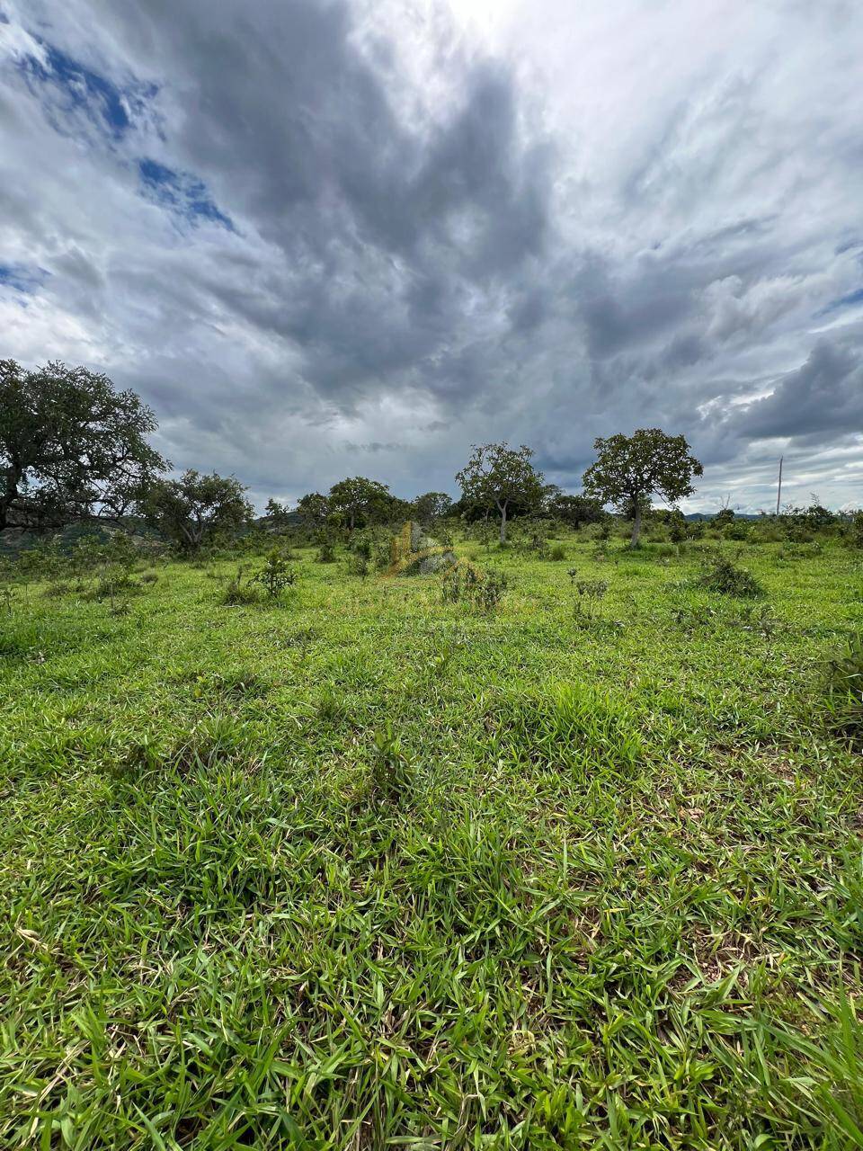 Terreno, 2 hectares - Foto 15