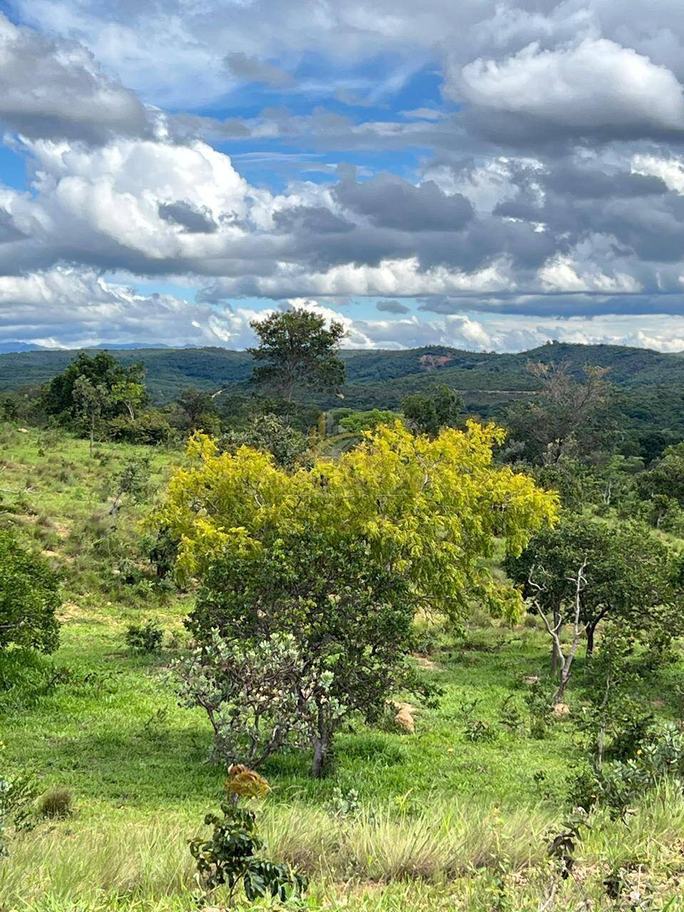 Terreno, 2 hectares - Foto 13