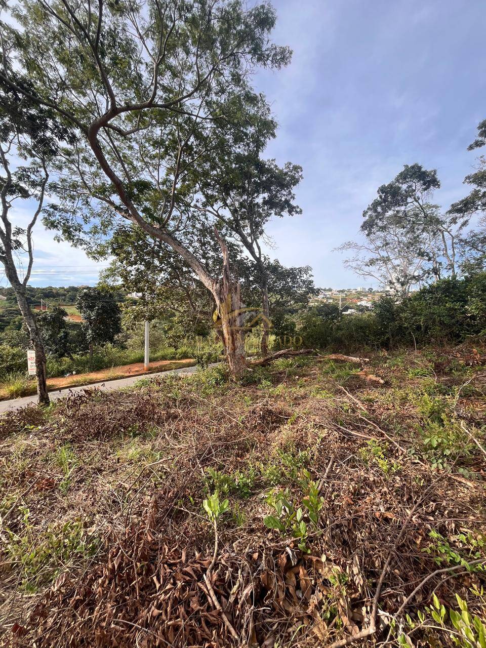 Terreno, 525 m² - Foto 7