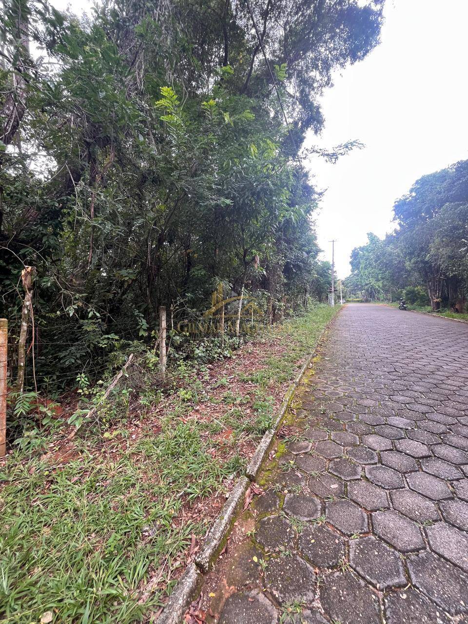 Terreno, 1000 m² - Foto 3