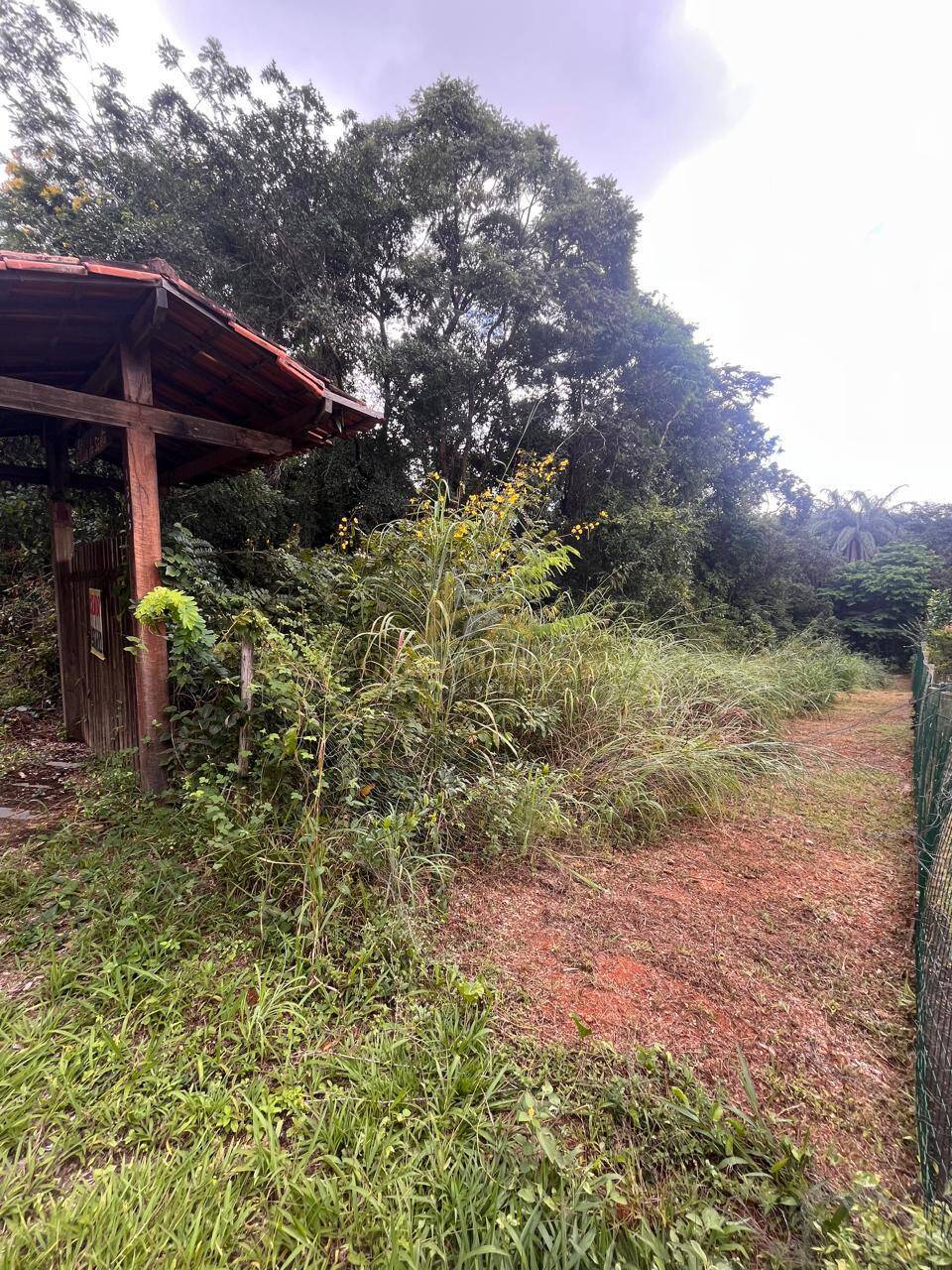 Terreno, 1000 m² - Foto 1