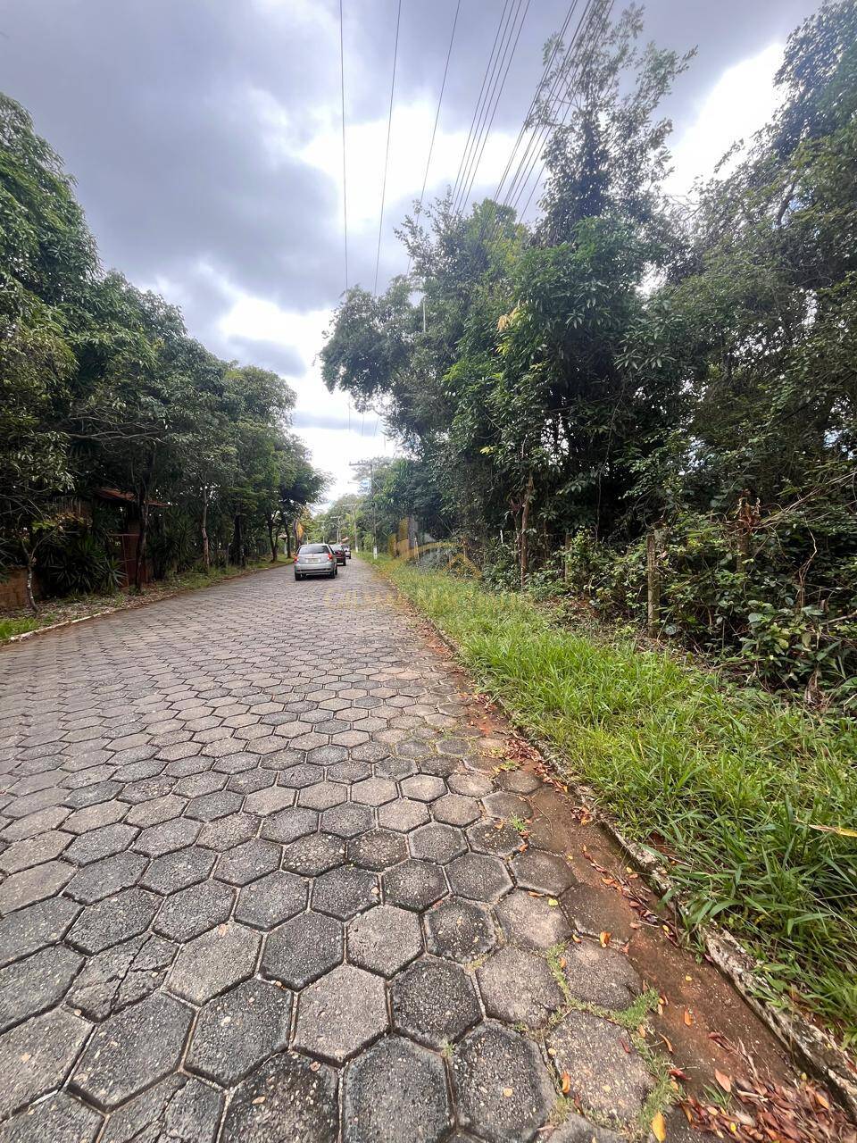 Terreno, 1000 m² - Foto 5