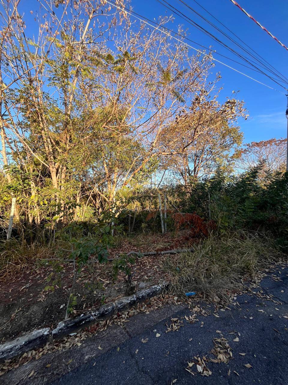 Terreno, 360 m² - Foto 3