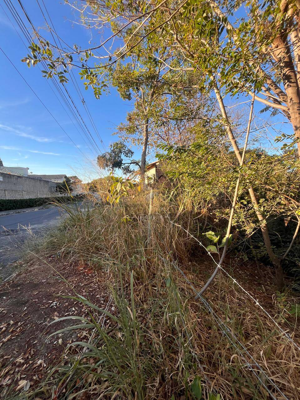 Terreno, 360 m² - Foto 4