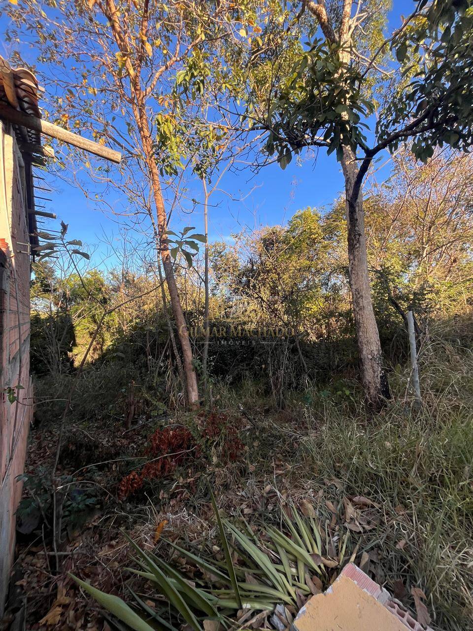 Terreno, 360 m² - Foto 5